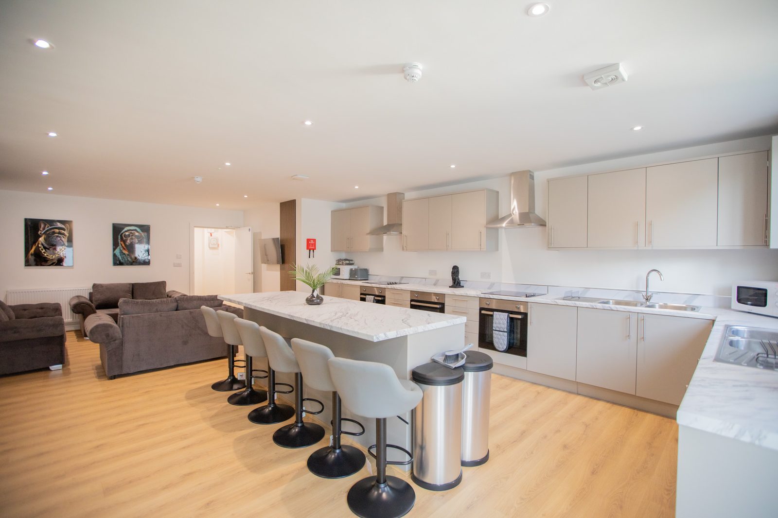 Communal kitchen and living