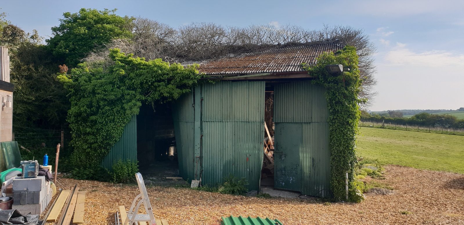 The barn before, derelict and overgrown