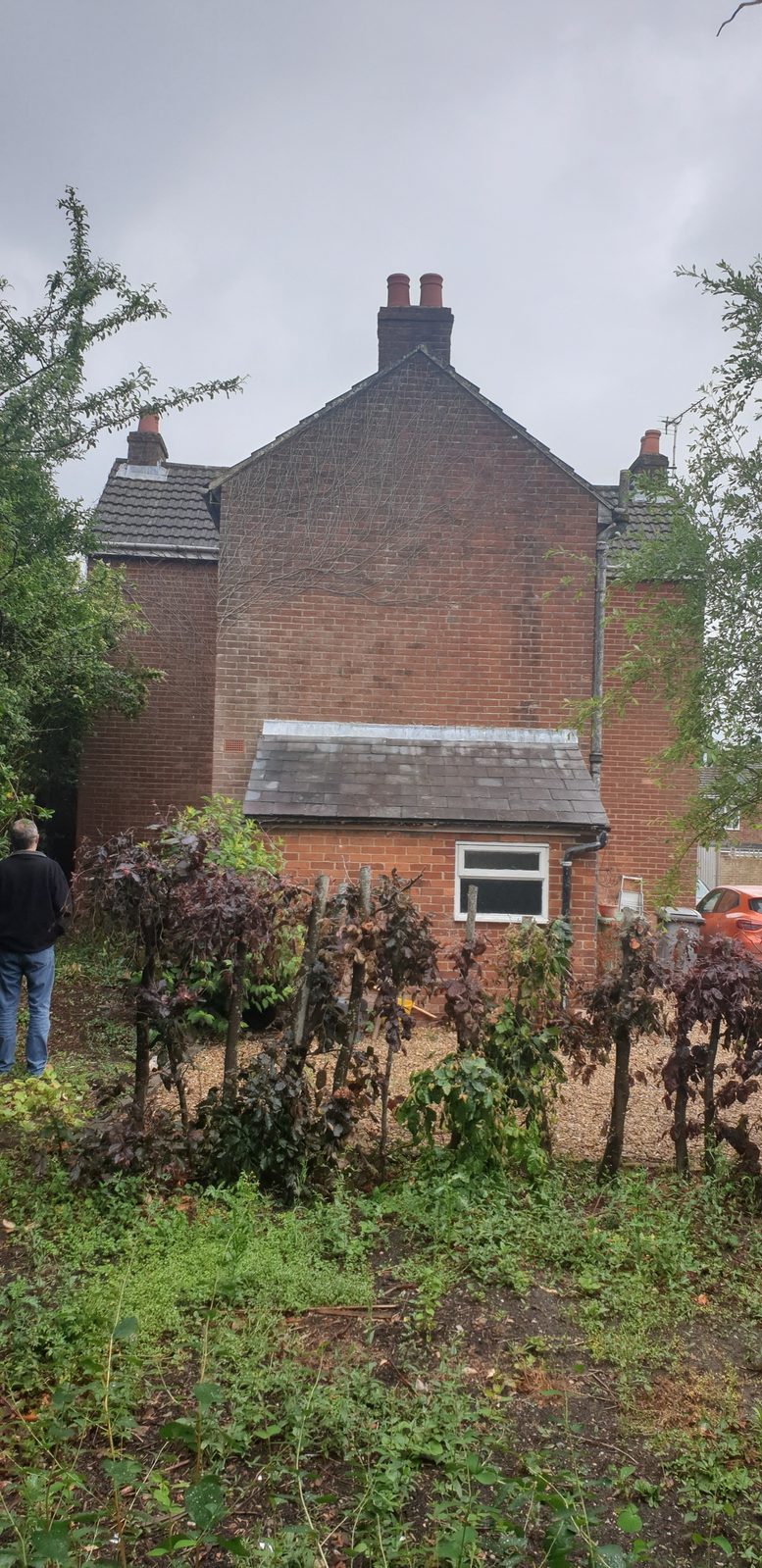 Before, rear